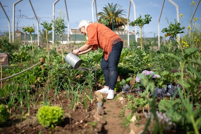 HOW TO TURN YOUR GARDEN INTO A PARADISE